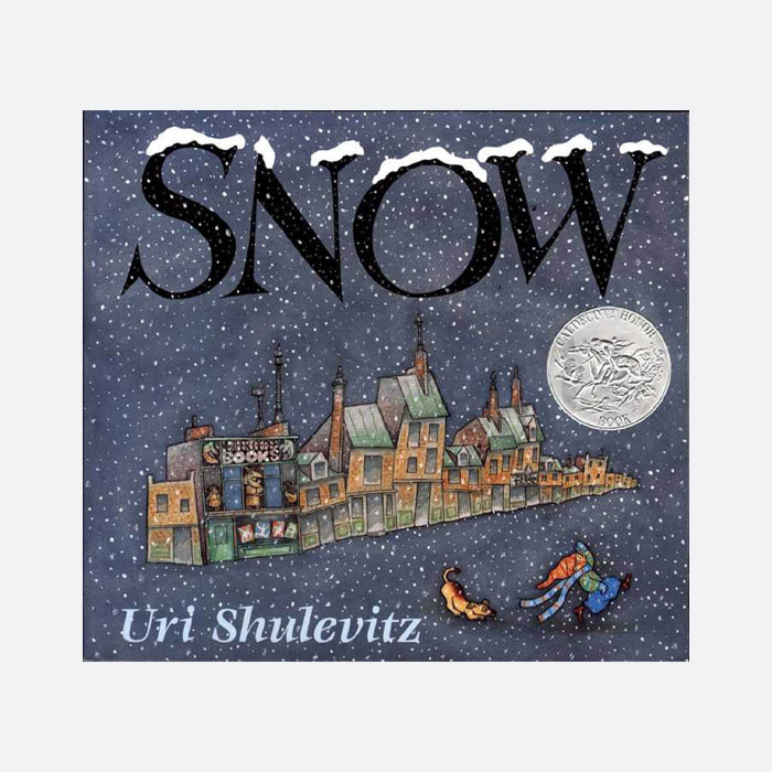 칼테콧수상 Snow 어린이그림책